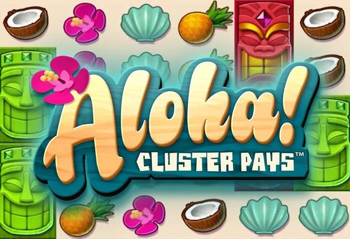 Schneller und sicherer Sharkroll Casino Login Prozess