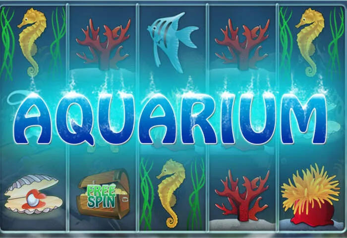 Player winning on a top online slot at Sharkroll Casino