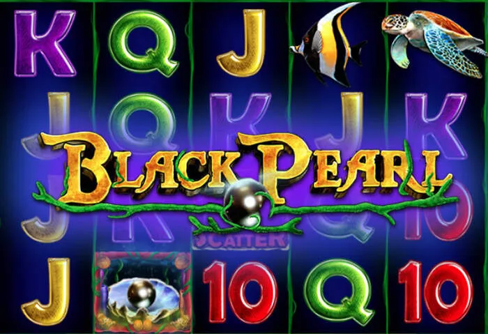 Résolvez vos problèmes de jeu avec le support expert de Sharkroll Casino.